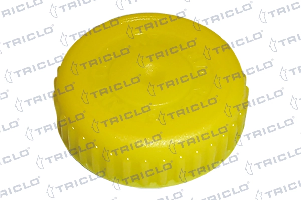 Comprar Tapa del depósito de refrigerante Nissan Almera II N16 a bajo precio