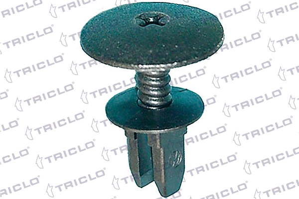 162765 Triclo