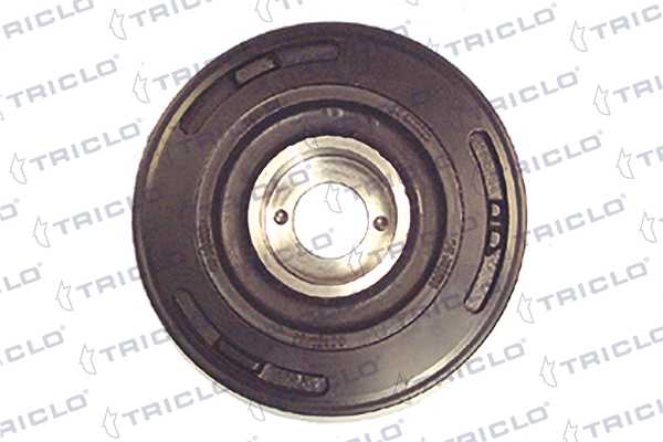 421209 Triclo Dámper