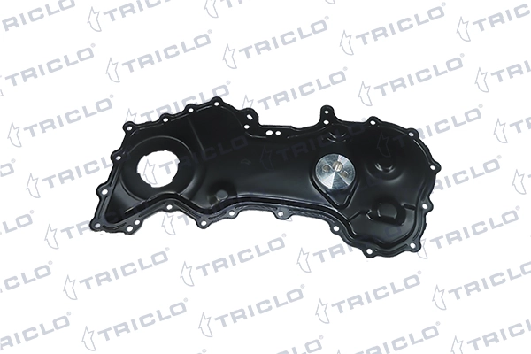 425999 Triclo