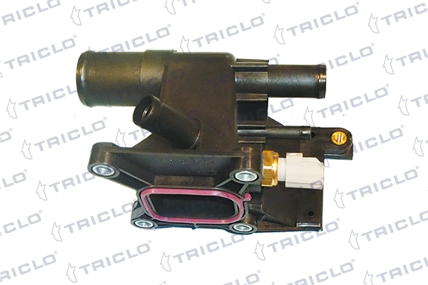 466629 Triclo