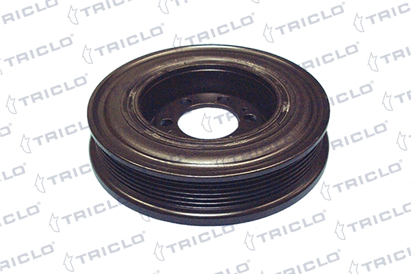 428490 Triclo
