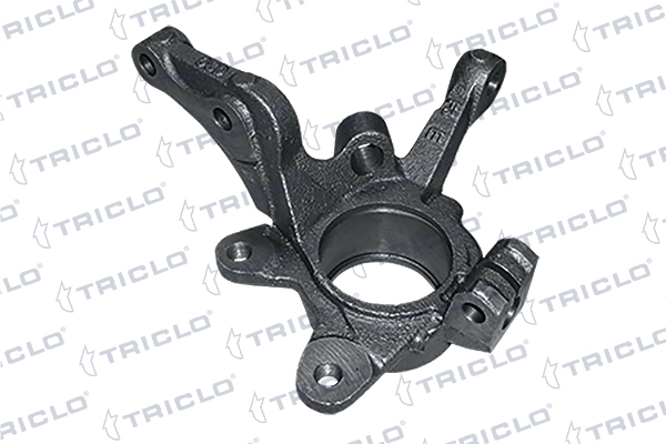 765760 Triclo