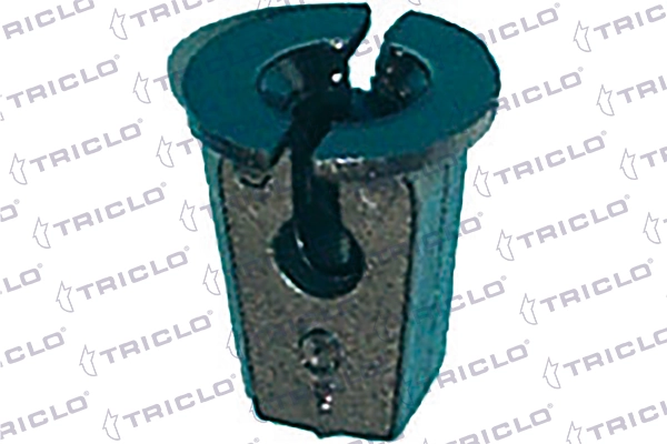 162331 Triclo