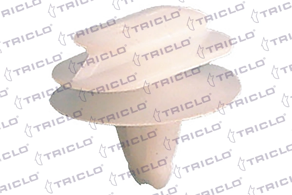 162962 Triclo