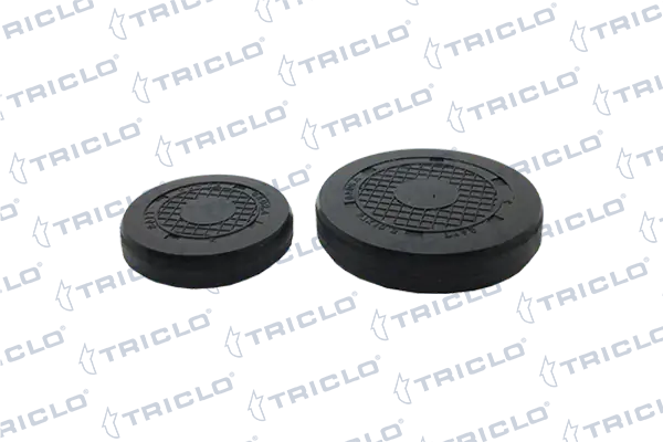 425522 Triclo