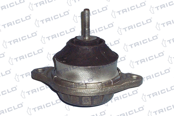 363902 Triclo