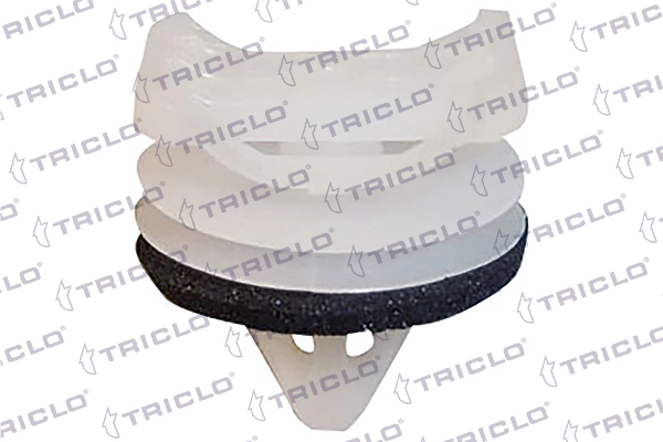 164825 Triclo