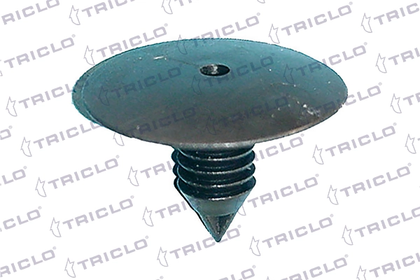 162656 Triclo