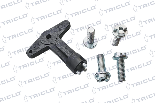 315872 Triclo