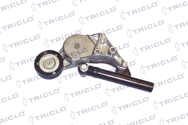 Comprar Tensor de correa poli V Seat Leon I 1M1
