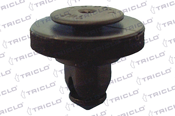 163213 Triclo
