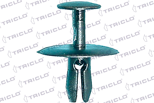 162979 Triclo