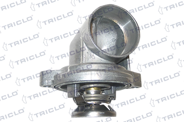 462174 Triclo
