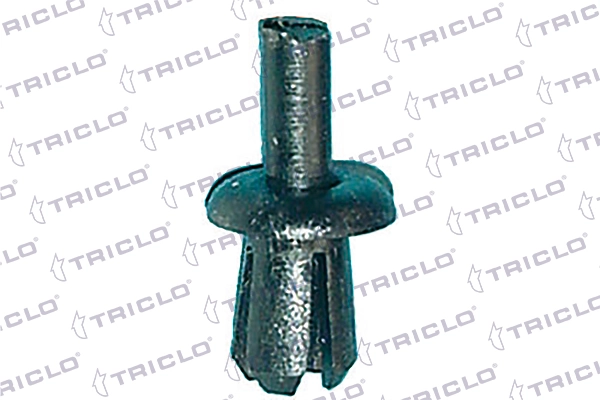 162389 Triclo