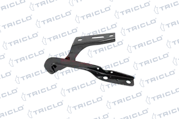 201988 Triclo