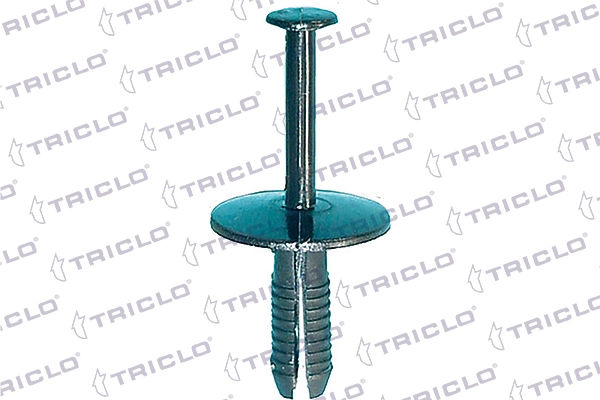 163048 Triclo