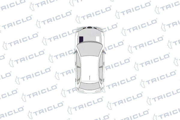205417 Triclo
