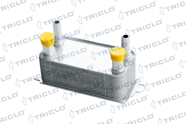 416793 Triclo