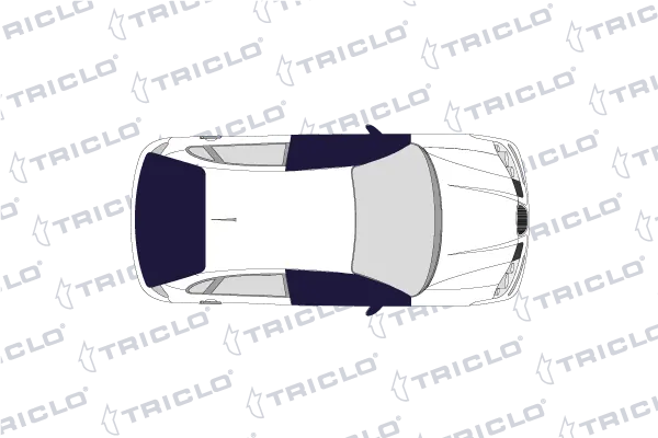 Comprar 121338 Triclo Manija exterior izquierda de puerta delantera