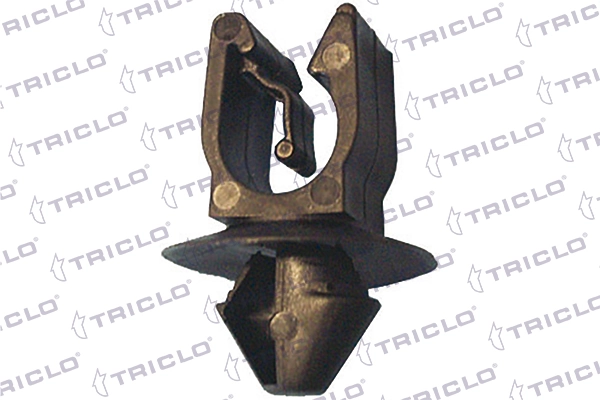 163223 Triclo