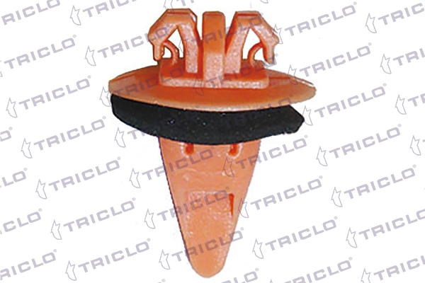163931 Triclo