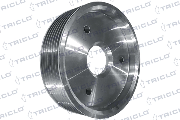 425270 Triclo