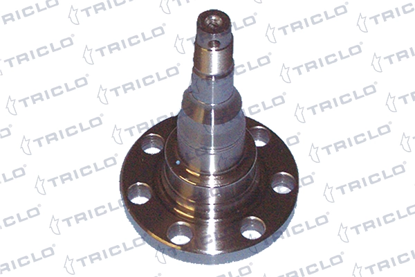 903513 Triclo