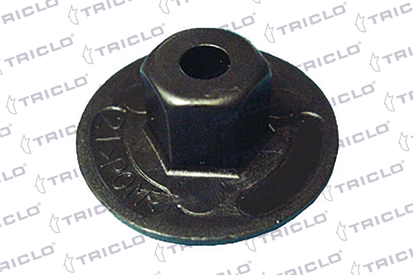 163455 Triclo