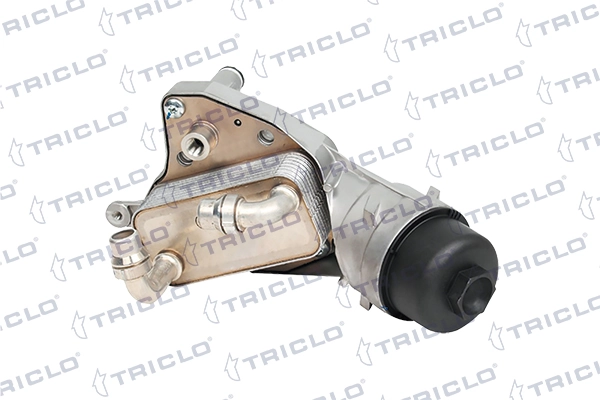 417268 Triclo