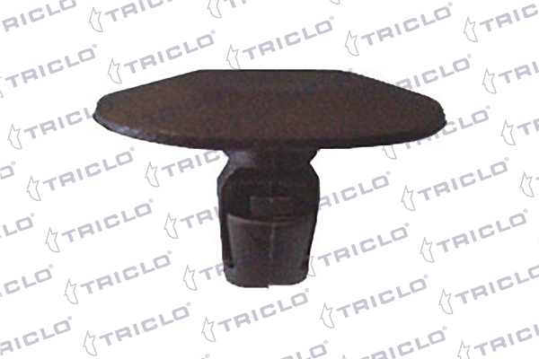 163135 Triclo