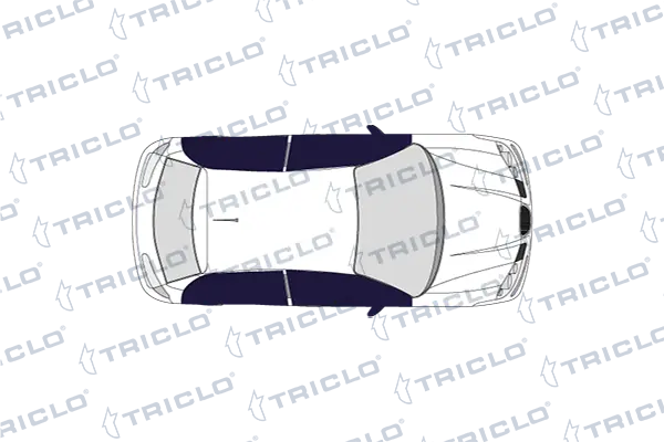 125023 Triclo