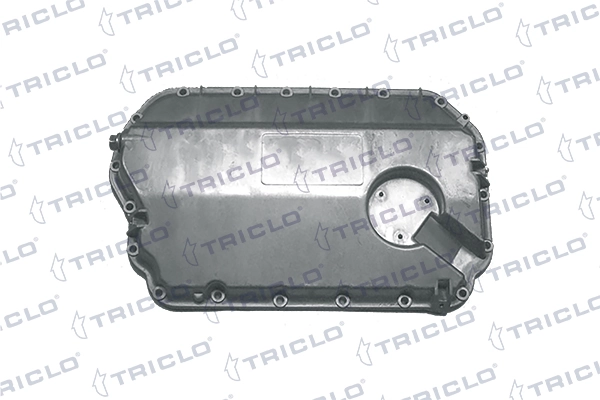 403353 Triclo