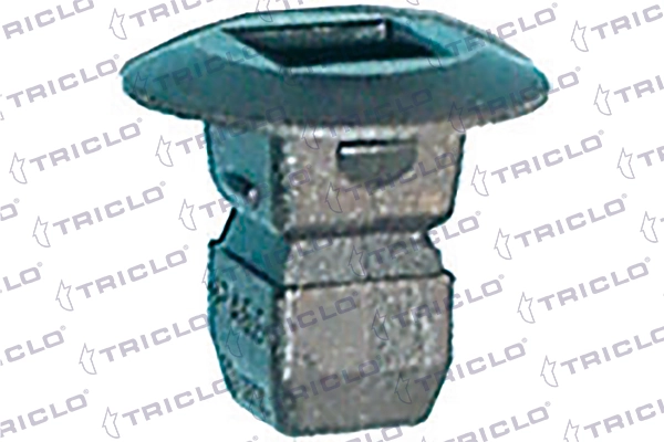 162885 Triclo