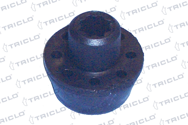 445319 Triclo