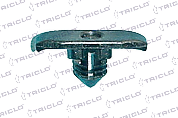 162920 Triclo