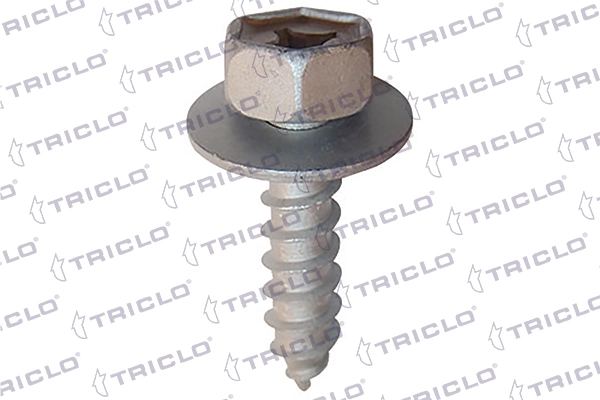 161820 Triclo
