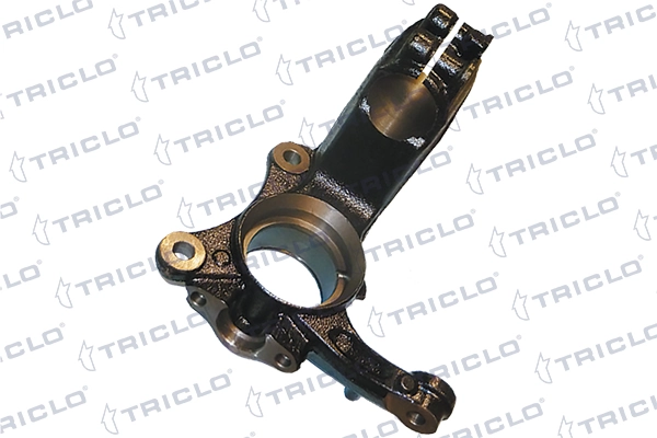 762220 Triclo
