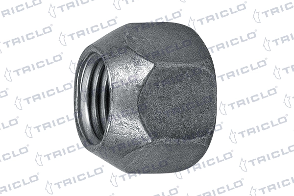 338745 Triclo