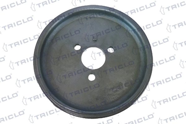 422368 Triclo Polea de bomba de la dirección asistida