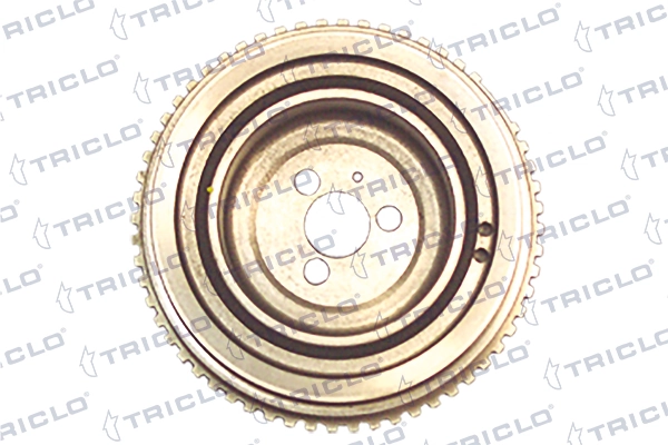 Polea del cigüeñal General Motors 55181189 precio, desde 63,89 EUR
