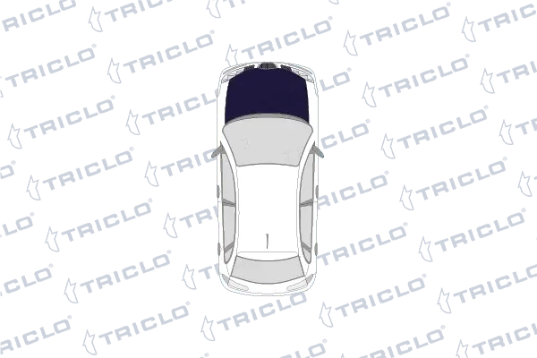 Cerradura del capó de motor Renault Scenic II