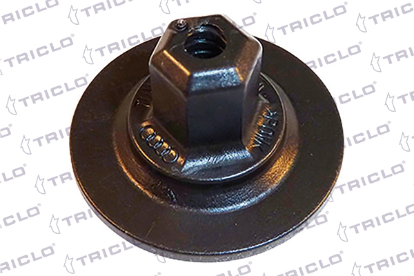 164304 Triclo