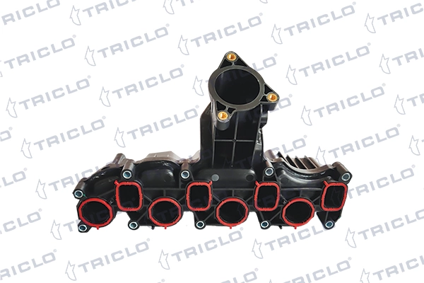 392996 Triclo