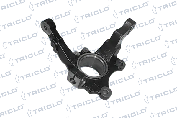 768903 Triclo