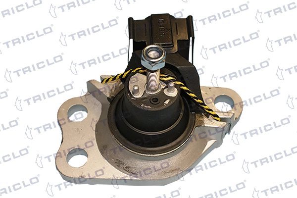 365359 Triclo