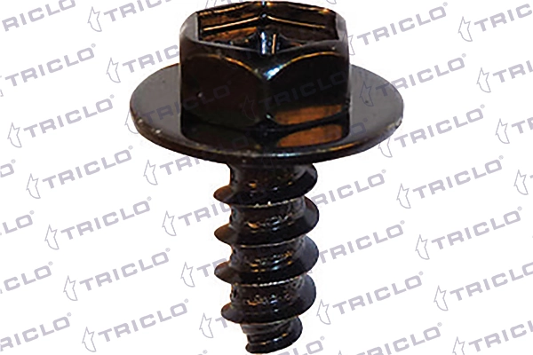 161829 Triclo