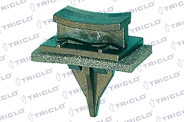 163021 Triclo