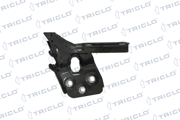 203463 Triclo