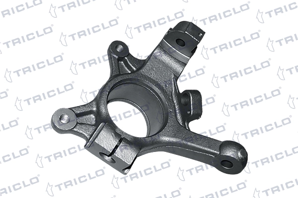 765772 Triclo